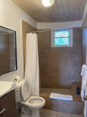 Une salle de bain avec douche, toilettes et une fenêtre ornée de vitraux.