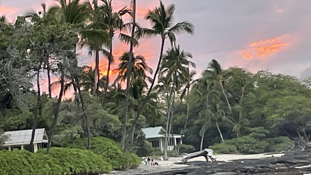 Tropische Landschaft mit Palmen, einem Strand und einem kleinen Gebäude.