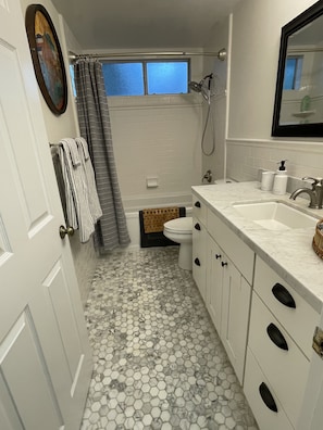 Combined shower/bathtub