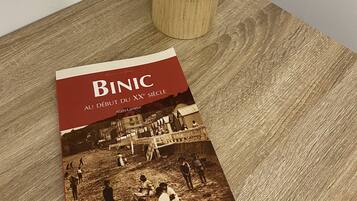 Een boek met de titel 'BINIC AU DÉBUT DU XXe SIÈCLE' op een houten ondergrond.