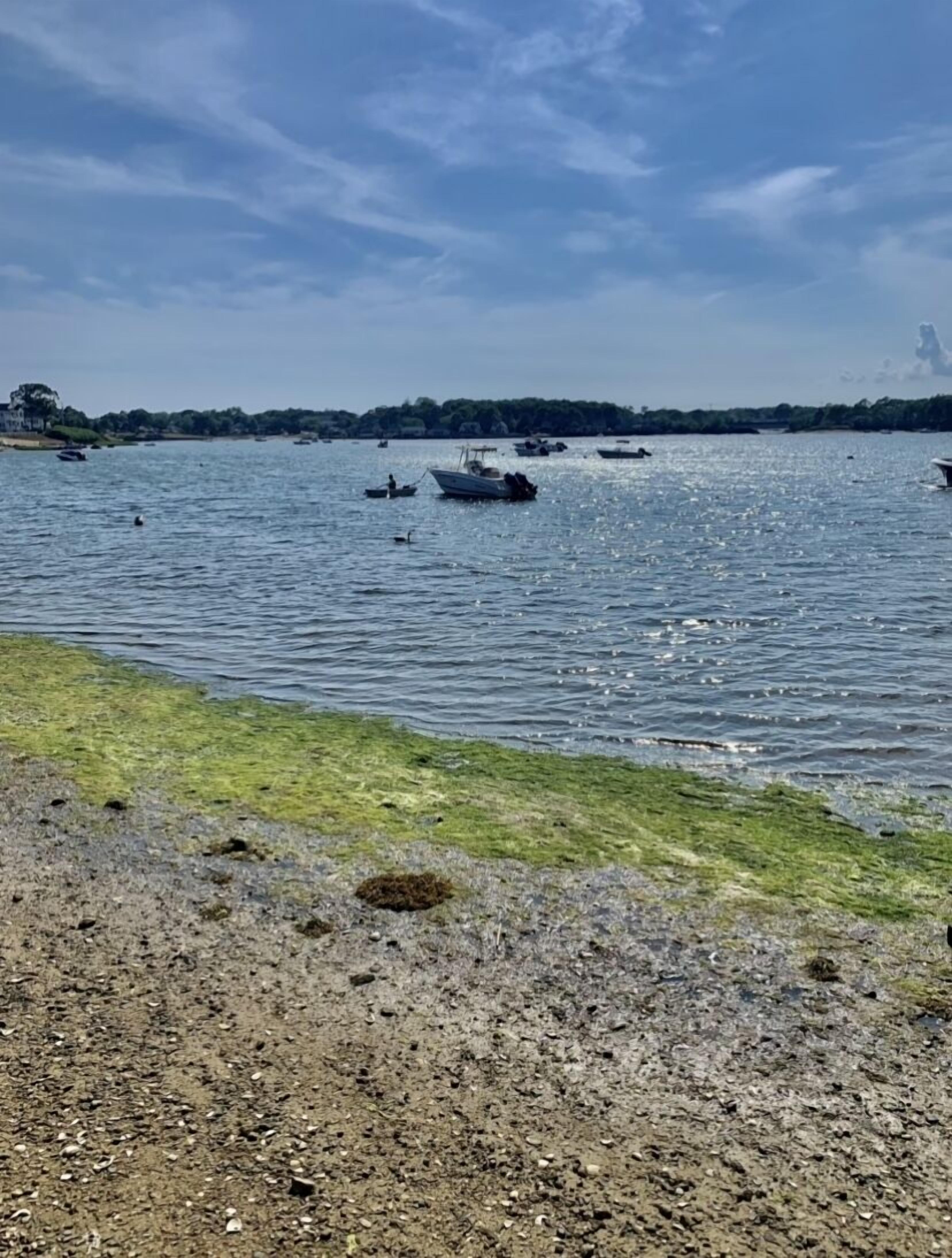 En la playa y camastros 