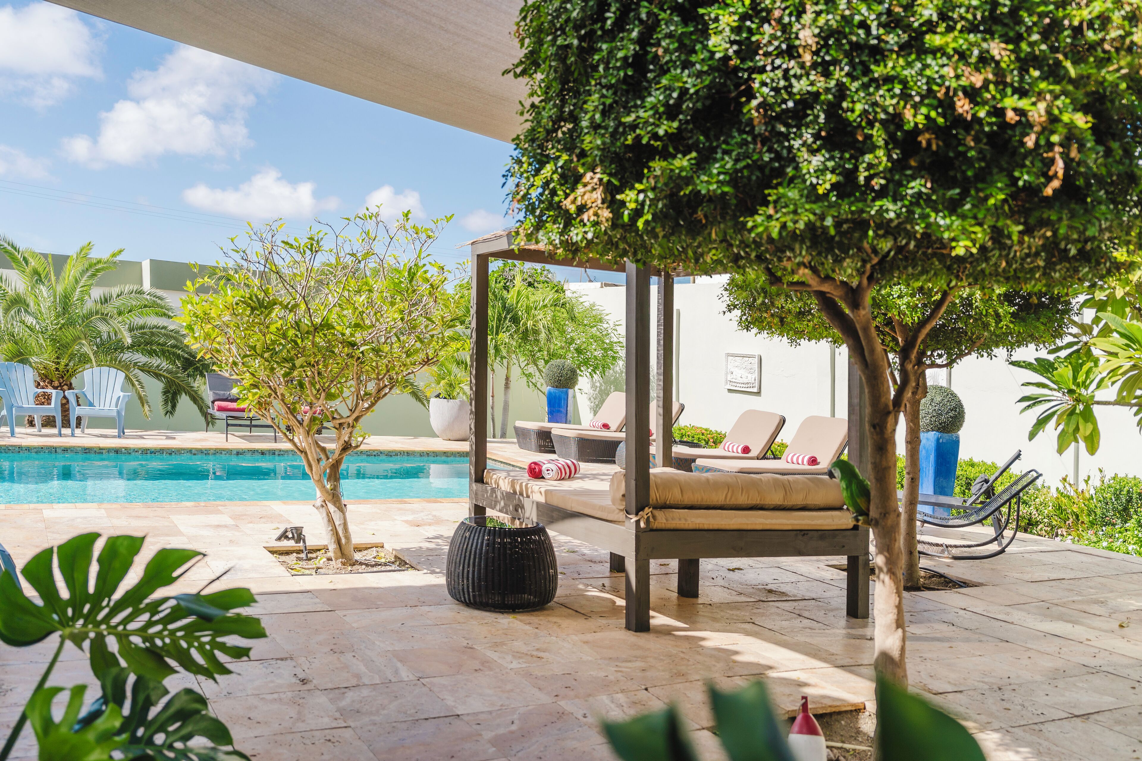 A poolside area with lounge chairs, a pergola, and a small tree.