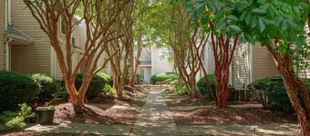 Charming 3BR, 2BA in Central Williamsburg!