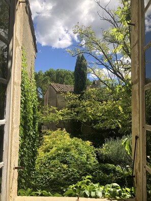Blick durch ein offenes Fenster auf einen Garten mit verschiedenen Pflanzen und einem Gebäude im Hintergrund.