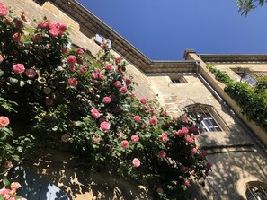 Detalle exterior