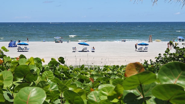 A beach with several umbrellas and lounge chairs.