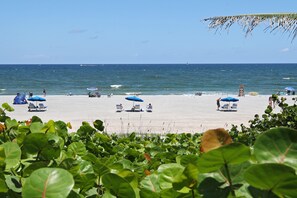 A beach with several umbrellas and lounge chairs.