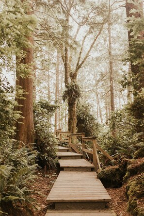 Ascend to a serene forest setting via this wooden staircase, offering a tranquil experience.