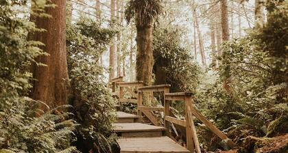 Bright & spacious 1 bedroom suite by the beach!