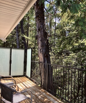 Relax on the deck overlooking a dense forest, surrounded by lush greenery.