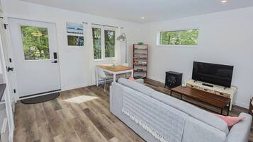 Smart TV, fireplace, books, video library