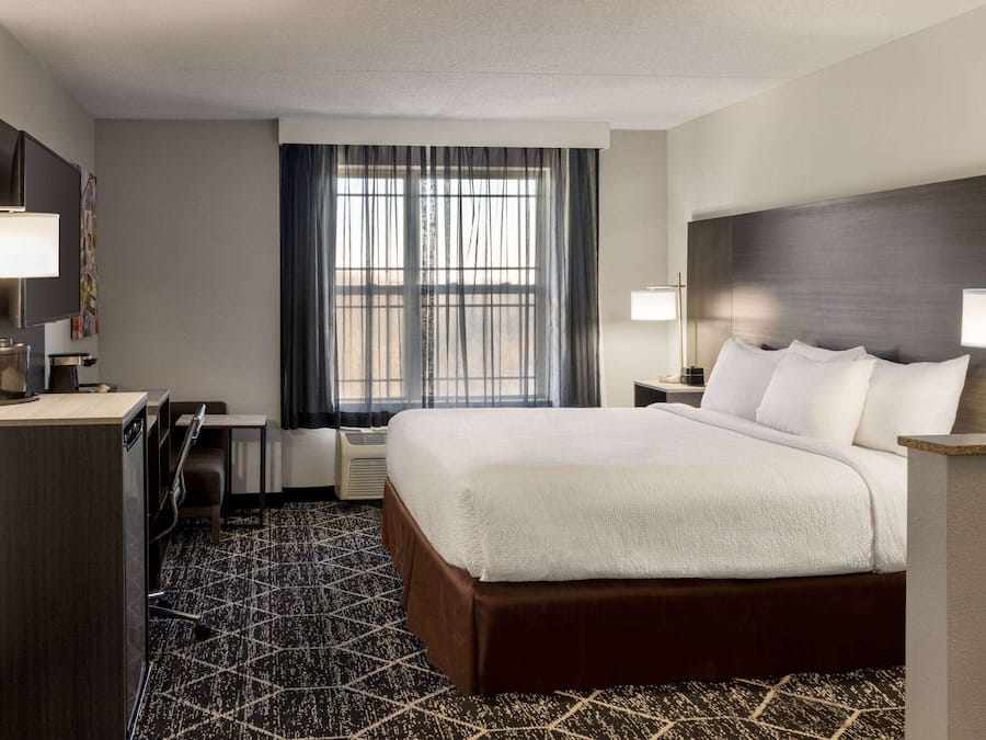 Room, 1 King Bed, Non Smoking