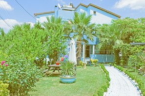 Garden - Geyikli Gelincik (Ezine)