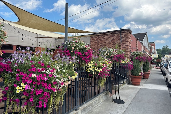 Àrea exterior de l'allotjament