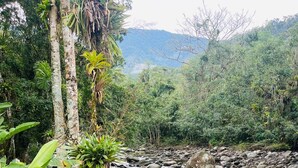 Un río que atraviesa un área boscosa con rocas y vegetación.