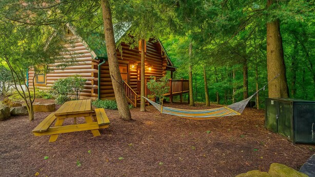 Una cabaña de troncos con una hamaca y una mesa de picnic en un entorno boscoso.