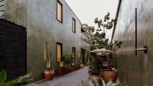 Un callejón estrecho con macetas y un edificio de fachada de concreto.