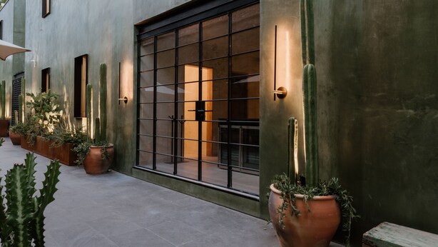 Un edificio moderno con ventanas amplias, plantas en macetas y un banco.