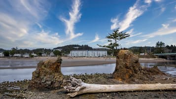 Condo, 1 King Bed with Sofa bed (Waters Edge 412) | Beach | On the beach