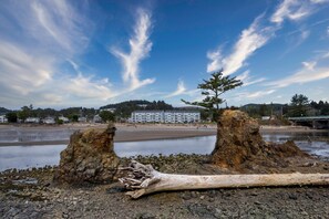 Condo, 1 King Bed with Sofa bed (Waters Edge 412) | Beach | On the beach