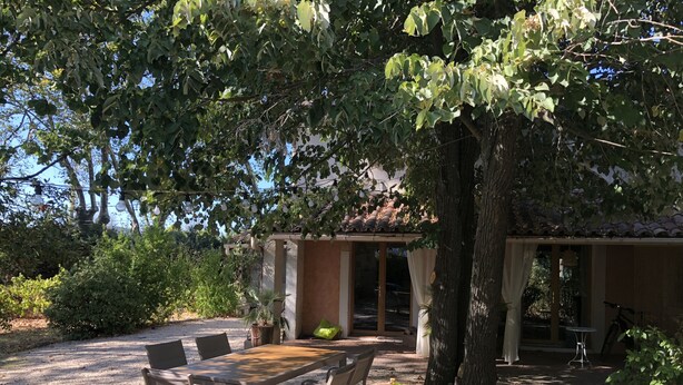 Zona d'estar a l'aire lliure amb terrassa, taula i cadires, envoltada d'arbres i una tanca.