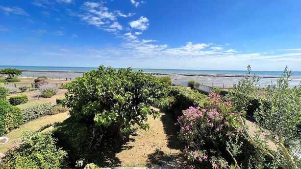 Un jardín con diversas plantas y vista al mar.