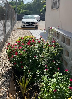 Property grounds - 10 min from beach,near designe district (Miami)