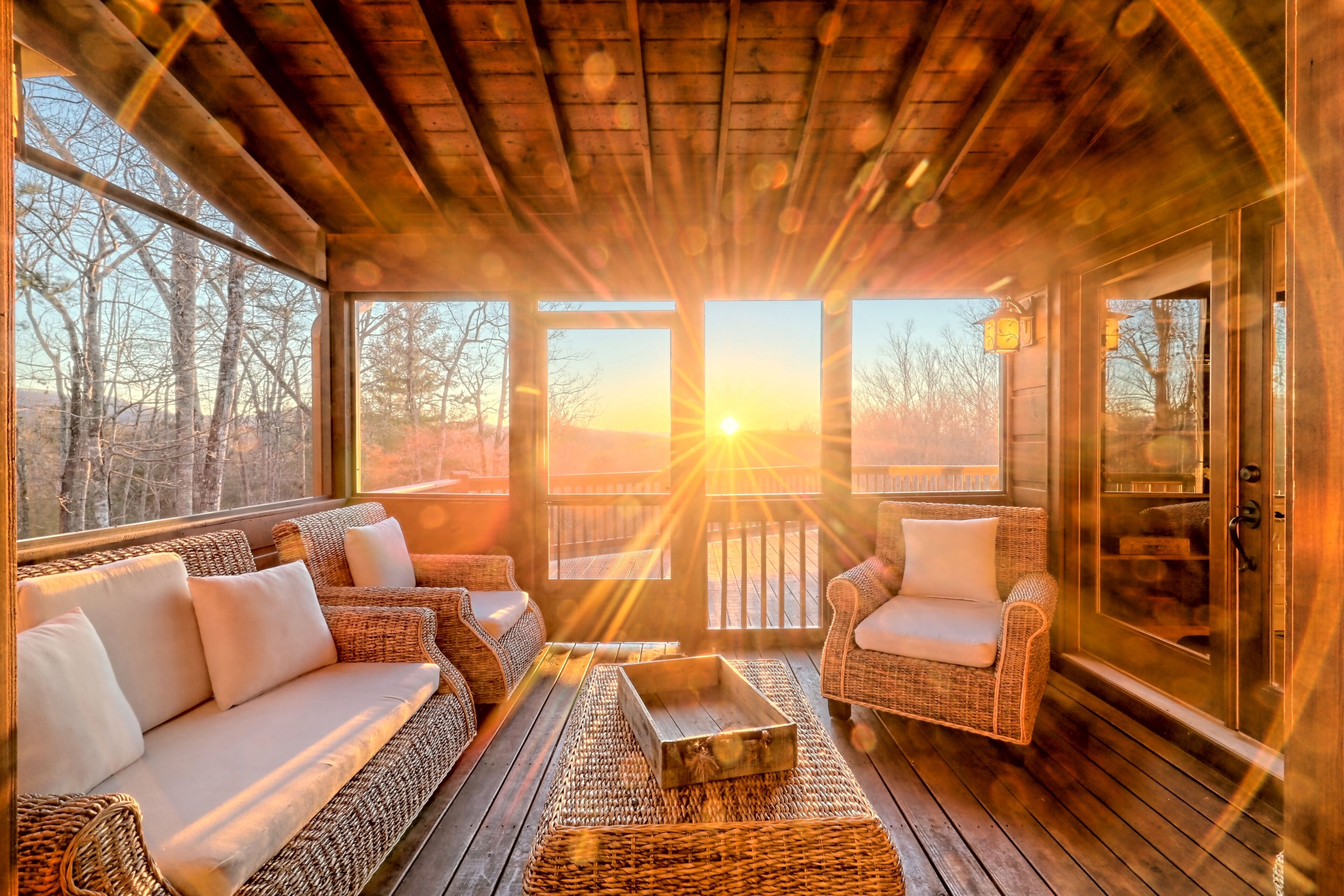 Smart TV, fireplace, video games, DVD player