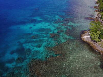 Stunning bungalows on the Ocean