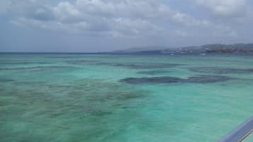 Una playa cerca