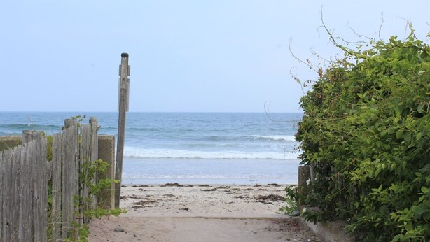 Un camí de platja que condueix a l'oceà, amb una tanca de fusta d'un costat i vegetació densa de l'altre.