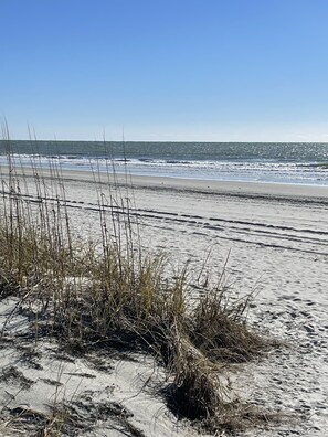 On the beach, sun-loungers, beach towels - Beach front, first story, newly renovated end unit with ideal location. (North Myrtle Beach)