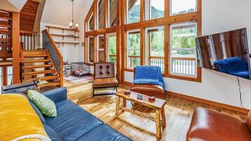 Télévision, cheminée, jeux vidéo, lecteur de DVD