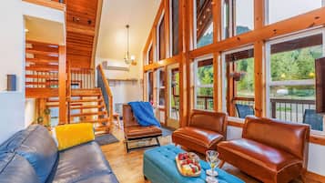 TV, fireplace, video games, DVD player