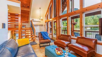 Télévision, cheminée, jeux vidéo, lecteur de DVD