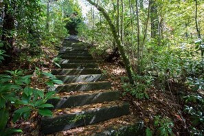 Property grounds - Mt.Rush-No-More | Ellijay,GA (Ellijay)