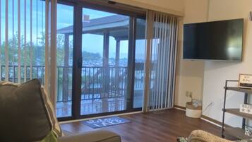 Smart TV, books, stereo