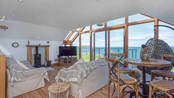 TV, fireplace, books