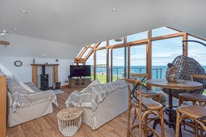 Televisión, chimenea y libros