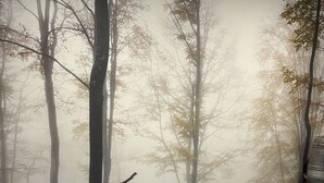 Ein Schlafzimmer mit Wandgemälde von einem Wald, einem Bett mit Bettdecke mit Wolfsmotiv und einer Holzbalkendecke.