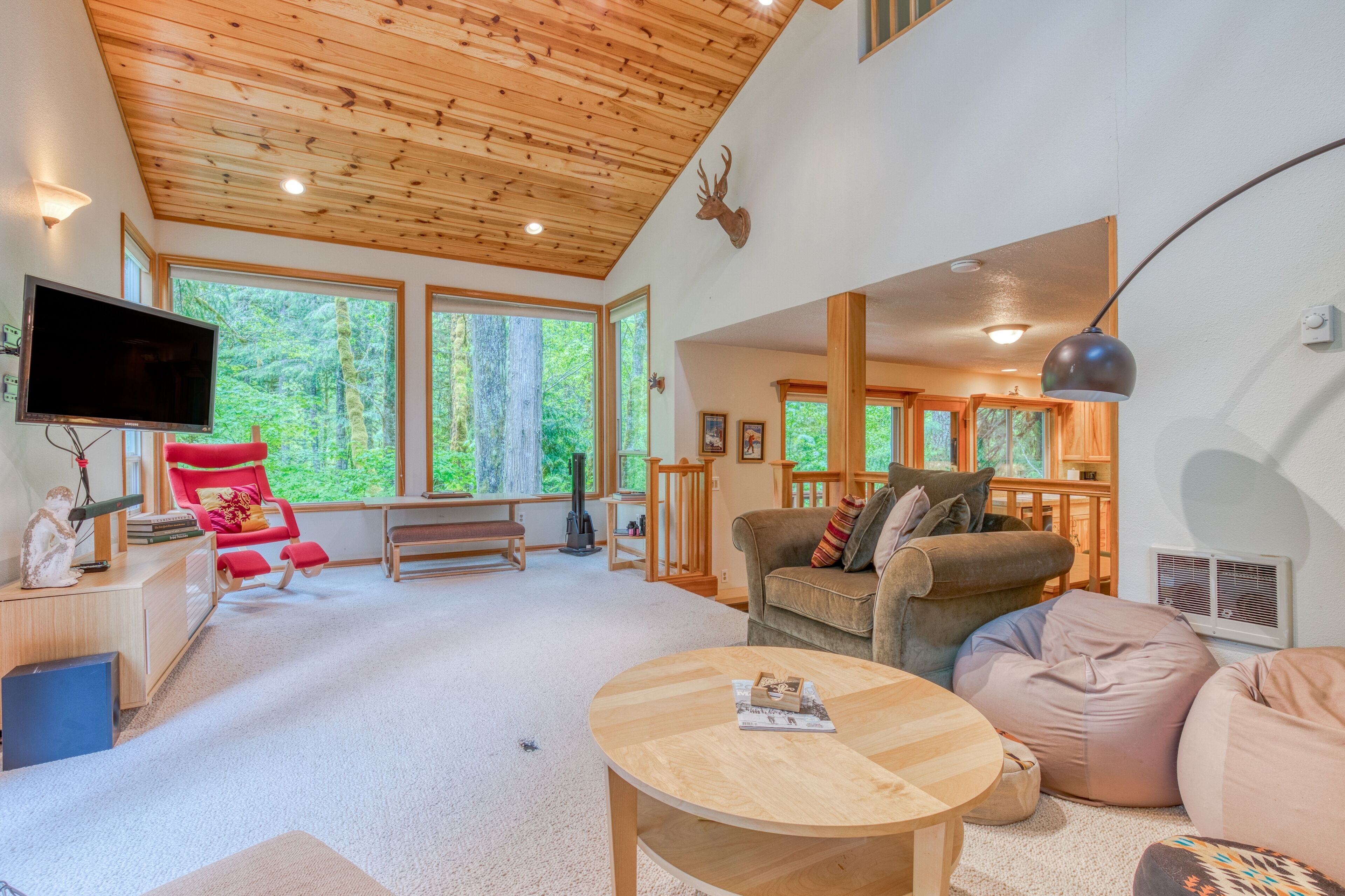 Tv, pejs, dvd-afspiller, bøger