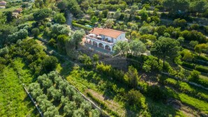 An aerial view of a villa surrounded by lush greenery and terraced fields.