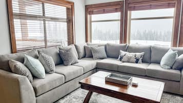 TV connectée, cheminée, livres, chaîne hi-fi