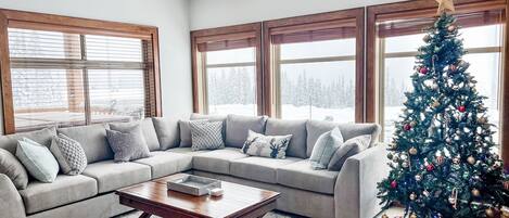 Smart TV, chimenea, libros, estéreo