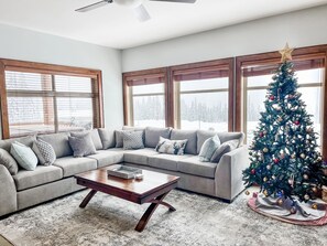 TV connectée, cheminée, livres, chaîne hi-fi