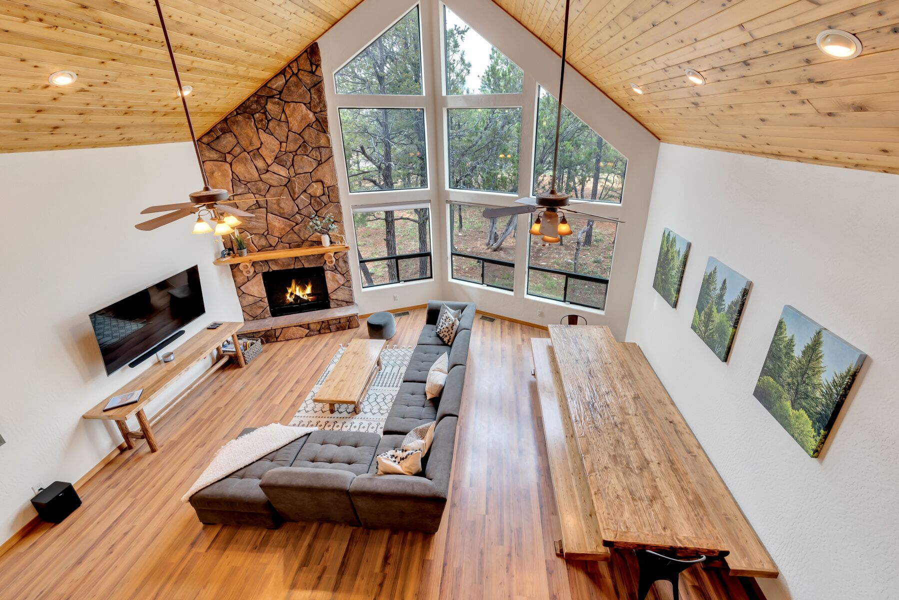 Smart TV, fireplace, table tennis, books