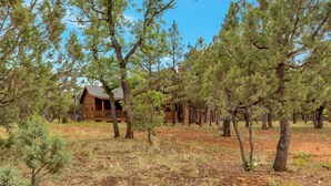 A rustic cabin surrounded by dense pine trees. - Built for large groups with luxury accommodations - An at home feel for everyone (Happy Jack)