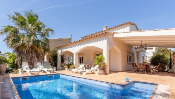 Ein Swimmingpool mit Liegestühlen, einer überdachten Terrasse und einer Palme.