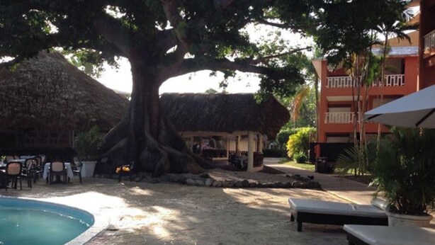 Pool - Delightful Caribbean apartment in Boca Chica (Boca Chica)