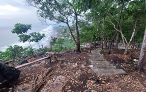 Interior entrance - Bukit Shoka Top View Camp (Giricahyo)